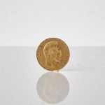 1338 5629 GOLD COIN